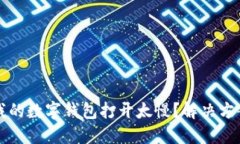 为什么我的数字钱包打开太慢？解决方案与技巧