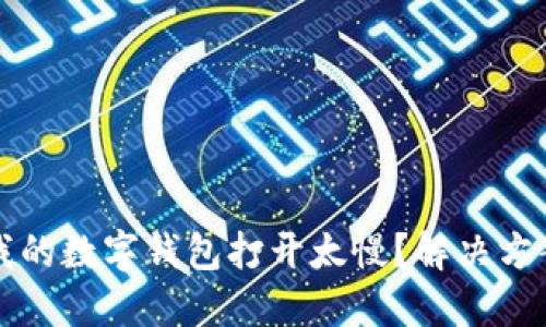 为什么我的数字钱包打开太慢?解决方案与技巧