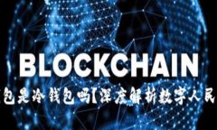 数字人民币钱包是冷钱包吗？深度解析数字人民