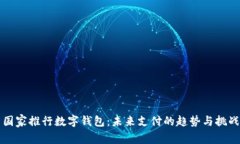 国家推行数字钱包：未来支付的趋势与挑战