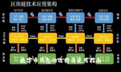 数字币钱包的选择与使用指南