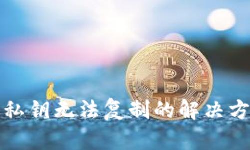 TP钱包电脑版私钥无法复制的解决方案与操作指南