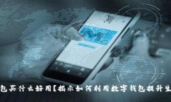 数字钱包买什么好用？揭示如何利用数字钱包提