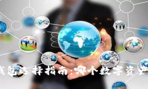 数字资产钱包选择指南:哪个数字资产钱包最好?