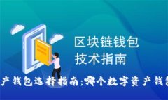 数字资产钱包选择指南：哪个数字资产钱包最好