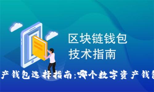 数字资产钱包选择指南:哪个数字资产钱包最好?
