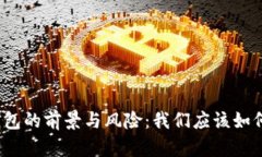 数字钱包的前景与风险：我们应该如何选择？