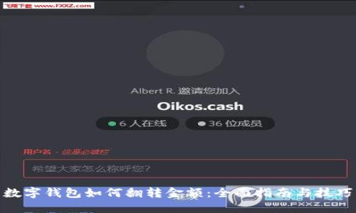 数字钱包如何翻转金额：全面指南与技巧