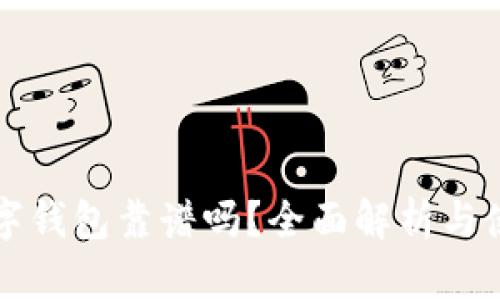 英超数字钱包靠谱吗?全面解析与使用指南