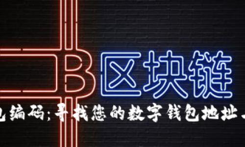 数字钱包编码:寻找您的数字钱包地址与识别码
