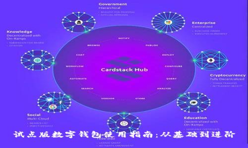 试点版数字钱包使用指南：从基础到进阶