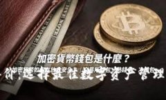 数字货币钱包评价：选择最佳数字资产