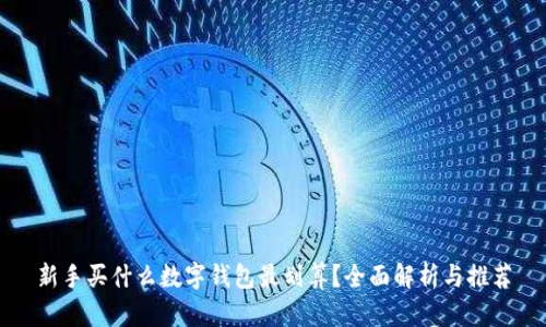 新手买什么数字钱包最划算？全面解析与推荐