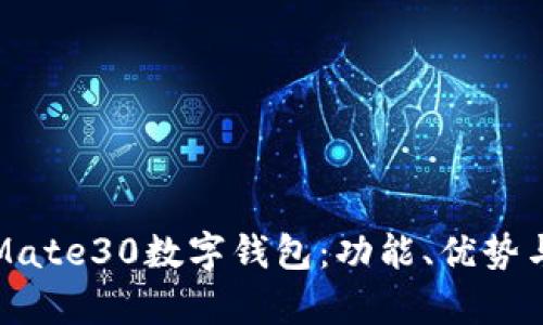 全面解析Mate30数字钱包：功能、优势与使用技巧