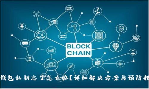 TP钱包私钥忘了怎么办?详细解决方案与预防措施