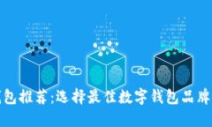 数字钱包推荐：选择最佳数字钱包品牌的指南
