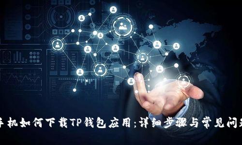 华为手机如何下载TP钱包应用:详细步骤与常见问题解析