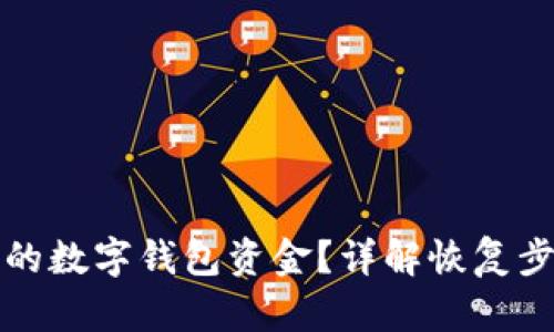 如何追回丢失的数字钱包资金?详解恢复步骤与案例分析