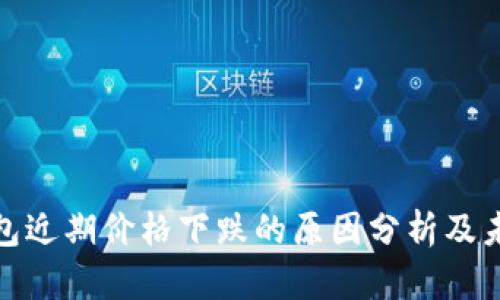 数字钱包近期价格下跌的原因分析及未来趋势