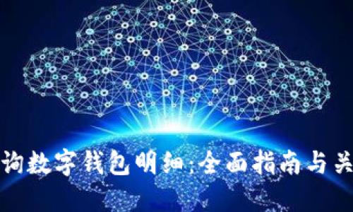 如何查询数字钱包明细：全面指南与关键技巧