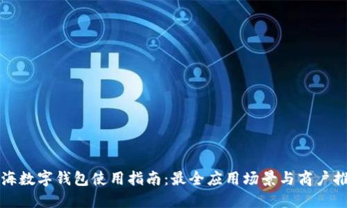 上海数字钱包使用指南：最全应用场景与商户推荐