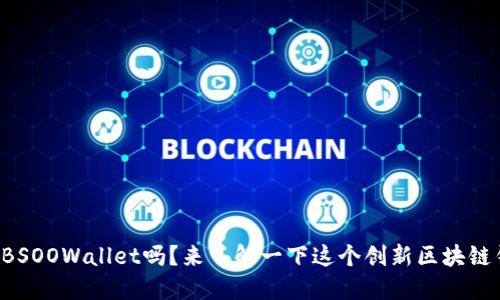 你知道BSOOWallet吗?来了解一下这个创新区块链钱包吧!