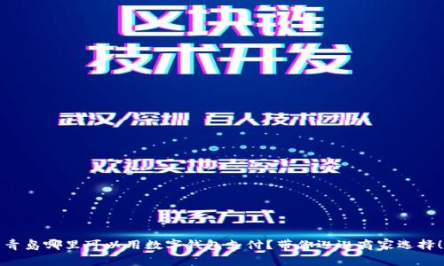 青岛哪里可以用数字钱包支付？带你逛逛商家选择！