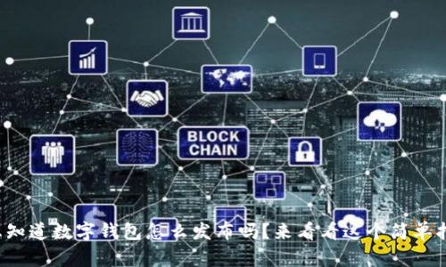你也想知道数字钱包怎么发布吗？来看看这个简单指南吧！