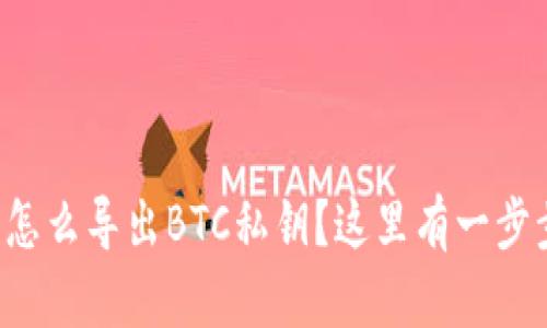 想知道tp钱包怎么导出BTC私钥？这里有一步步的详细指导！