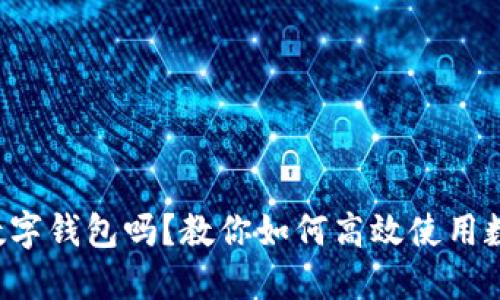 你了解数字钱包吗?教你如何高效使用数字钱包!