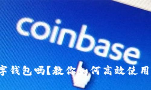 你了解数字钱包吗?教你如何高效使用数字钱包!