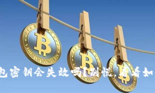 加密钱包密钥会失效吗？别慌，看看如何处理！
