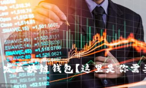 想在石家庄开发区块链钱包？这里是你需要知道的一切！