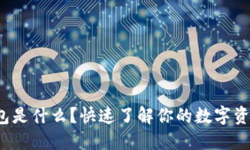 数字货币钱包是什么？快速了解你的数字资产安全工具！