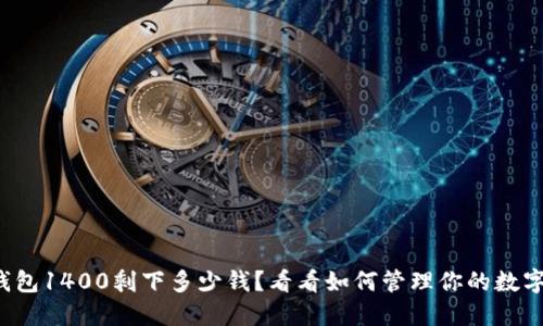 数字钱包1400剩下多少钱？看看如何管理你的数字资产！
