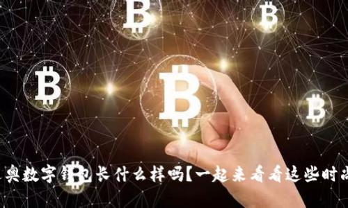 你知道迪奥数字钱包长什么样吗？一起来看看这些时尚设计吧！
