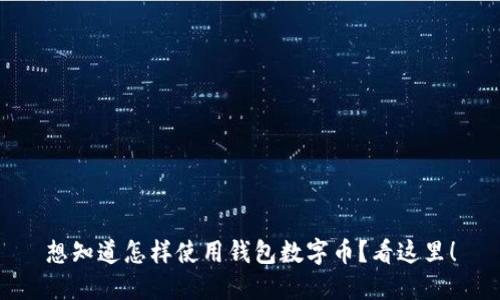 想知道怎样使用钱包数字币?看这里!