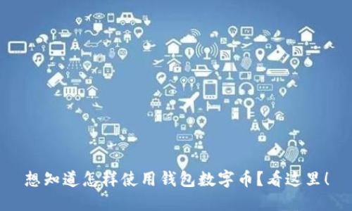 想知道怎样使用钱包数字币?看这里!