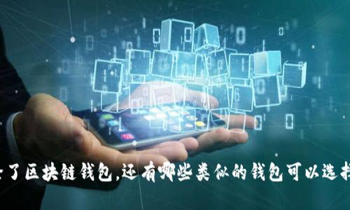 除了区块链钱包,还有哪些类似的钱包可以选择?