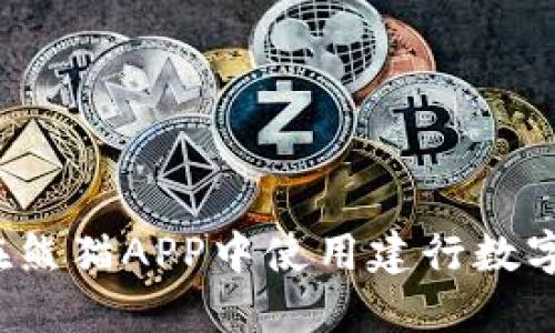 如何在熊猫APP中使用建行数字钱包?