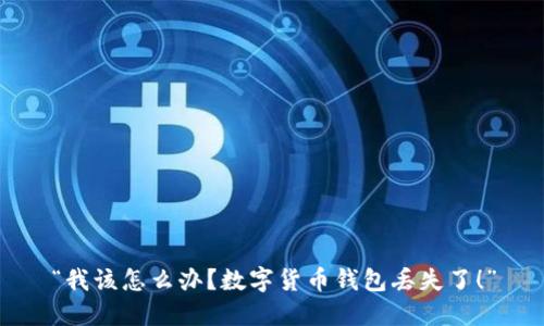 “我该怎么办?数字货币钱包丢失了!”