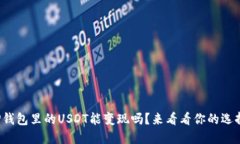 TP钱包里的USDT能变现吗？来看看你的选