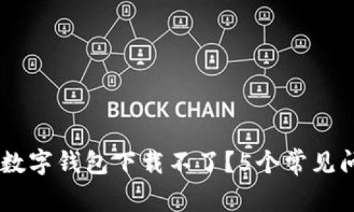 为什么我的TB数字钱包下载不了?5个常见问题和解决方法