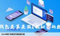 如何辨别TP钱包是真是假？揭秘你的数