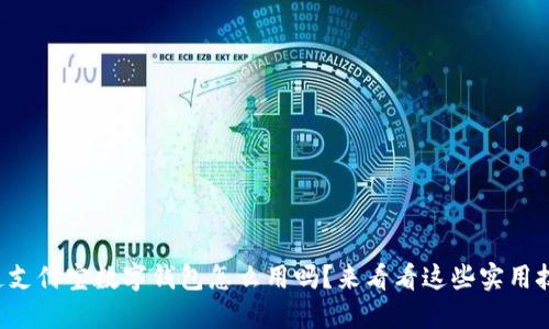 你知道支付宝数字钱包怎么用吗？来看看这些实用技巧吧！