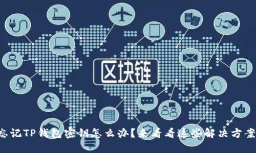 忘记TP钱包密钥怎么办?来看看这些解决方案!