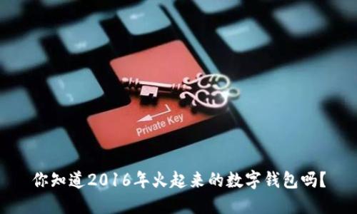 你知道2016年火起来的数字钱包吗?