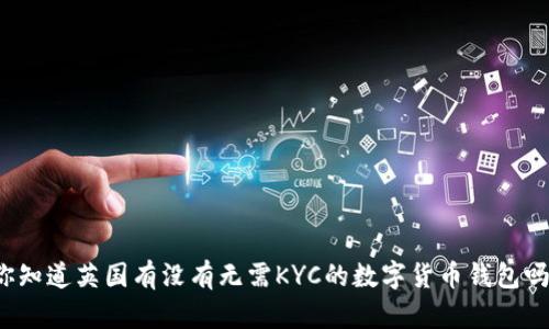 你知道英国有没有无需KYC的数字货币钱包吗?