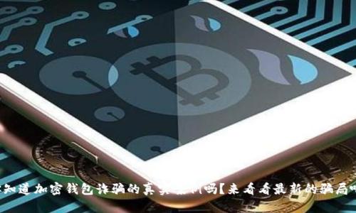 你知道加密钱包诈骗的真实案例吗?来看看最新的骗局吧!