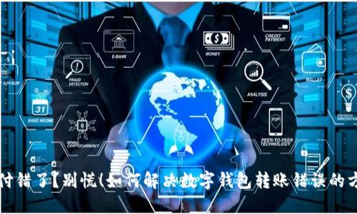 “支付错了?别慌!如何解决数字钱包转账错误的方法”
